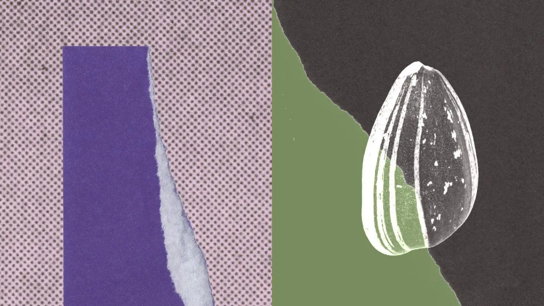 Anthropic's illustration for its post: a sunflower seed on torn paper
